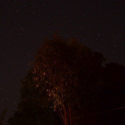 Up there/Southern Hemisphere/DSC_0213.JPG
